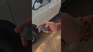 "Remote Start on Kia Sonet HTX 1.5 MT🔥 Full Demo Smart Key Feature Explained 🔍"#kiasonet#remotestart