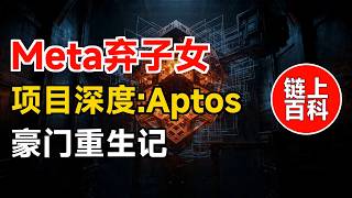On-Chain Encyclopedia · Project Deep Dive (28): Aptos Analysis | Can a Meta-Born Blockchain Escap...