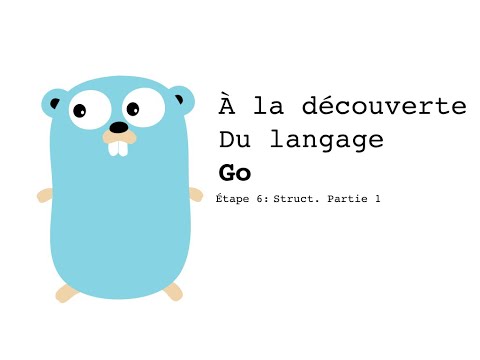 06 - Introduction to Go (golang): Structs & methods [Niveau débutant]