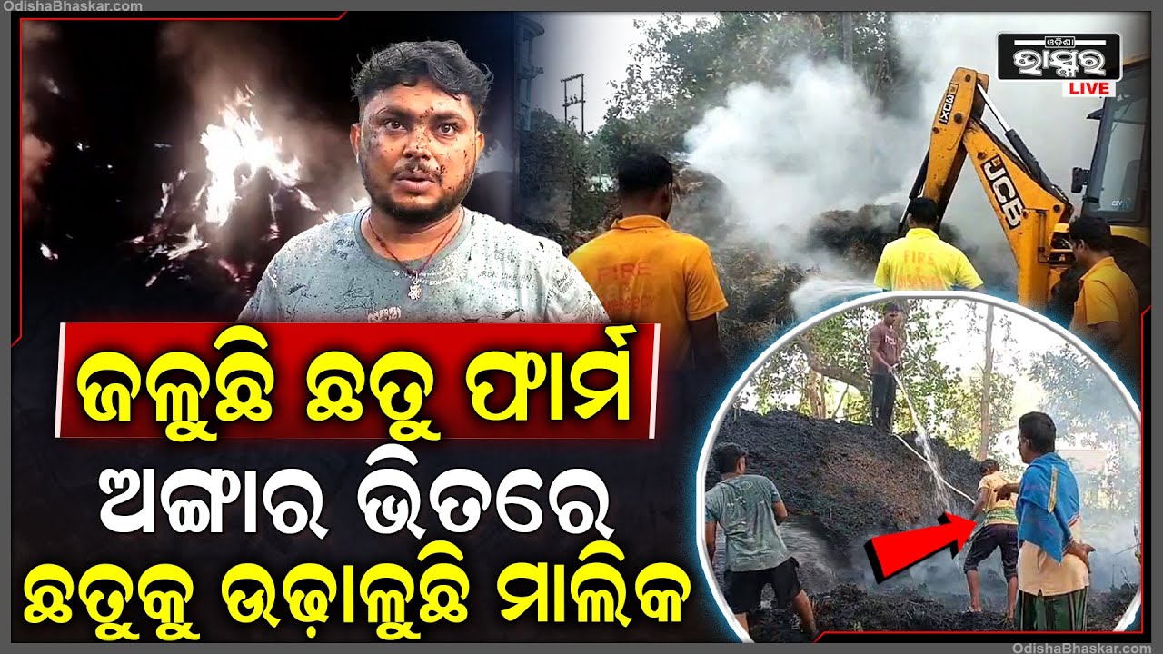 ସବୁ କିଛି ନିଆଁ ପୋଡିଗଲା... ଜଳୁଛି ଛତୁ ଫାର୍ମ, ଅଙ୍ଗାର ଭିତରେ ବସିରହି କାନ୍ଦୁଛନ୍ତି ଫାର୍ମର ମାଲିକ...