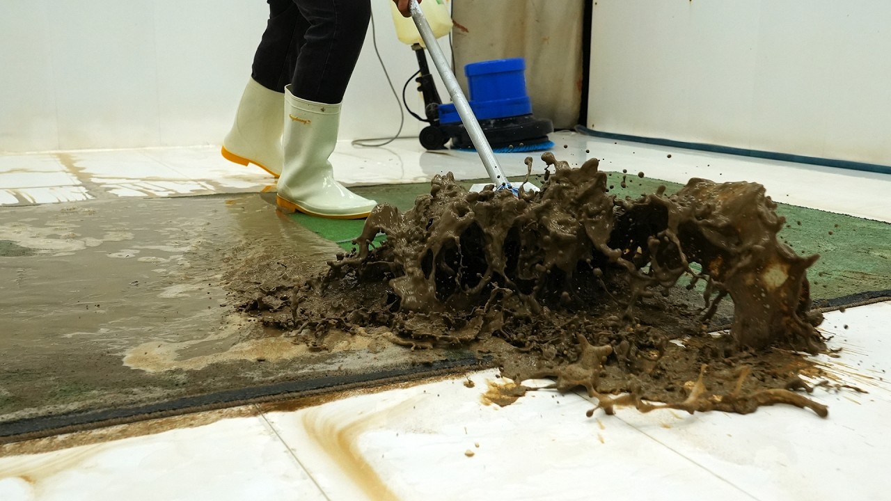Over 25 Liters of Mud Came Out of This Carpet… Insanely Satisfying – Satisfying Video