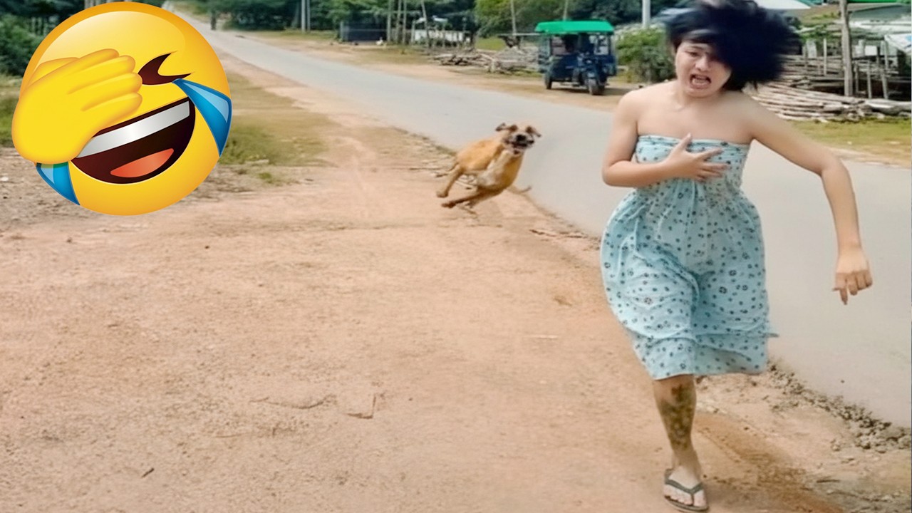 TikTok Try Not To Laugh Challenge (Part 65) 😅😂