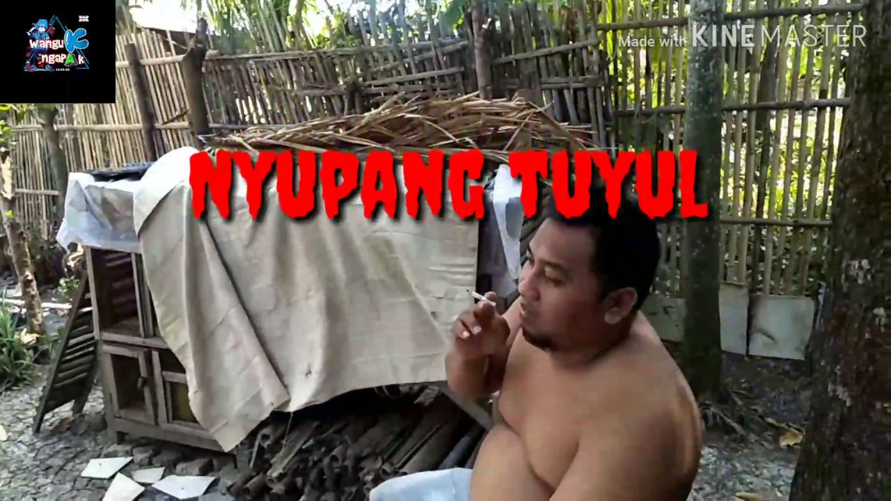 Nyupang tuyul