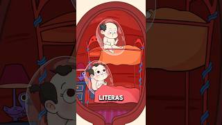 Cómo se desarrollan los gemelos fraternos durante el embarazo 👶..!!#salud #fypシ #gemelosfraternos