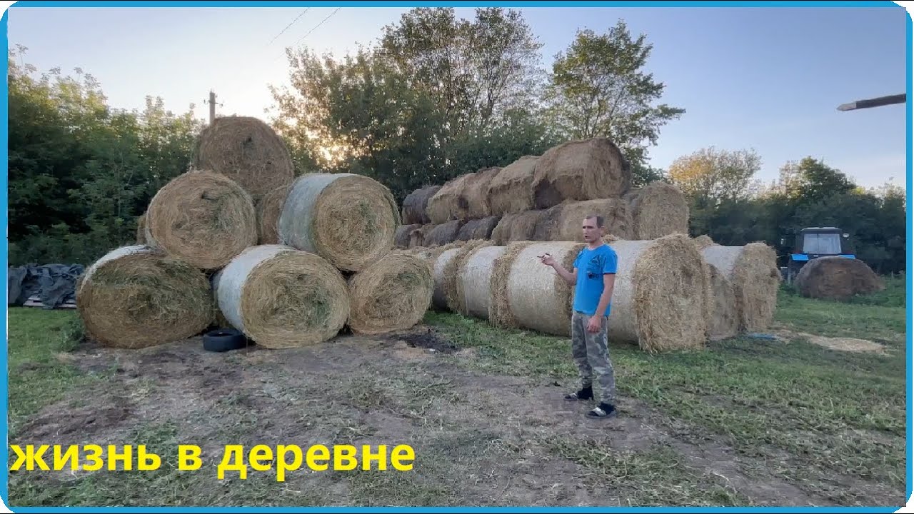 НАСЫЩЕННЫЙ ДЕНЬ В ДЕРЕВНЕ, КОРОВЫ БЕЗ КОРМОВ НЕ ОСТАНУТСЯ, ДЕРЕВЕНСКАЯ ЖИЗНЬ