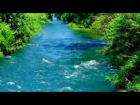Beautiful river HD background with pace music free | without copyright | Natural Basic 4K |