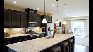 Ryan Homes | The Picasso