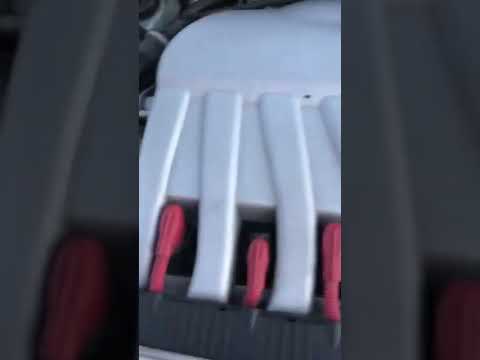 www.youtube.com