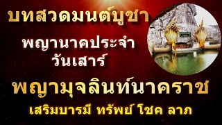 บทสวดมนต์บูชาพญามุจลินท์นาคราช พญานาคประจำวันเสาร์