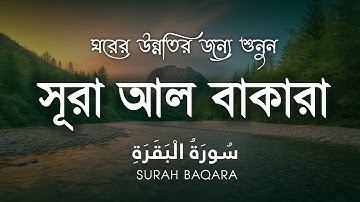 সূরা আল বাকারা | Al-Baqara (سورة البقره) | Most Beautiful Reaction of Surah Baqarah