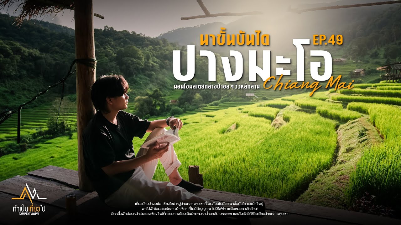 นาขั้นบันไดบ้านปางมะโอ เชียงใหม่ | นอนโฮมสเตย์กลางป่าชิลๆวิวหลักล้าน