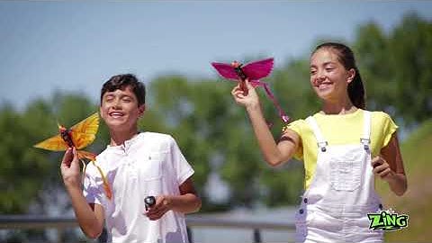 GO GO BIRD. Go Go Bird is a smart, bionic Remote Control flying bird with flapping wings.