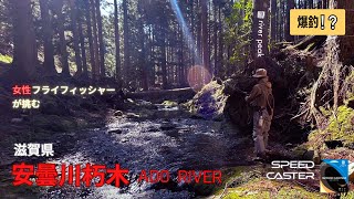 爆釣！？ 女性フライフィッシャーが挑む 滋賀県安曇川朽木