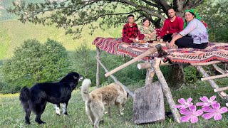 Milking Cows and Making a Wooden Gazebo under an Oak Tree