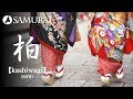 【和風BGM】琴の音色が美しく落ち着いた曲『kashiwagi by SHW』(著作権フリー音楽)
