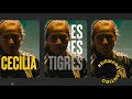 Así presentamos a Tigres Femenil para el  Apertura 2021