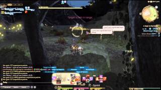 Final Fantaxy XIV : A Realm Reborn - How to level using Levequests and Grand Company Levequests