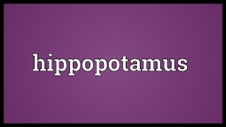 Hippopotamus Meaning