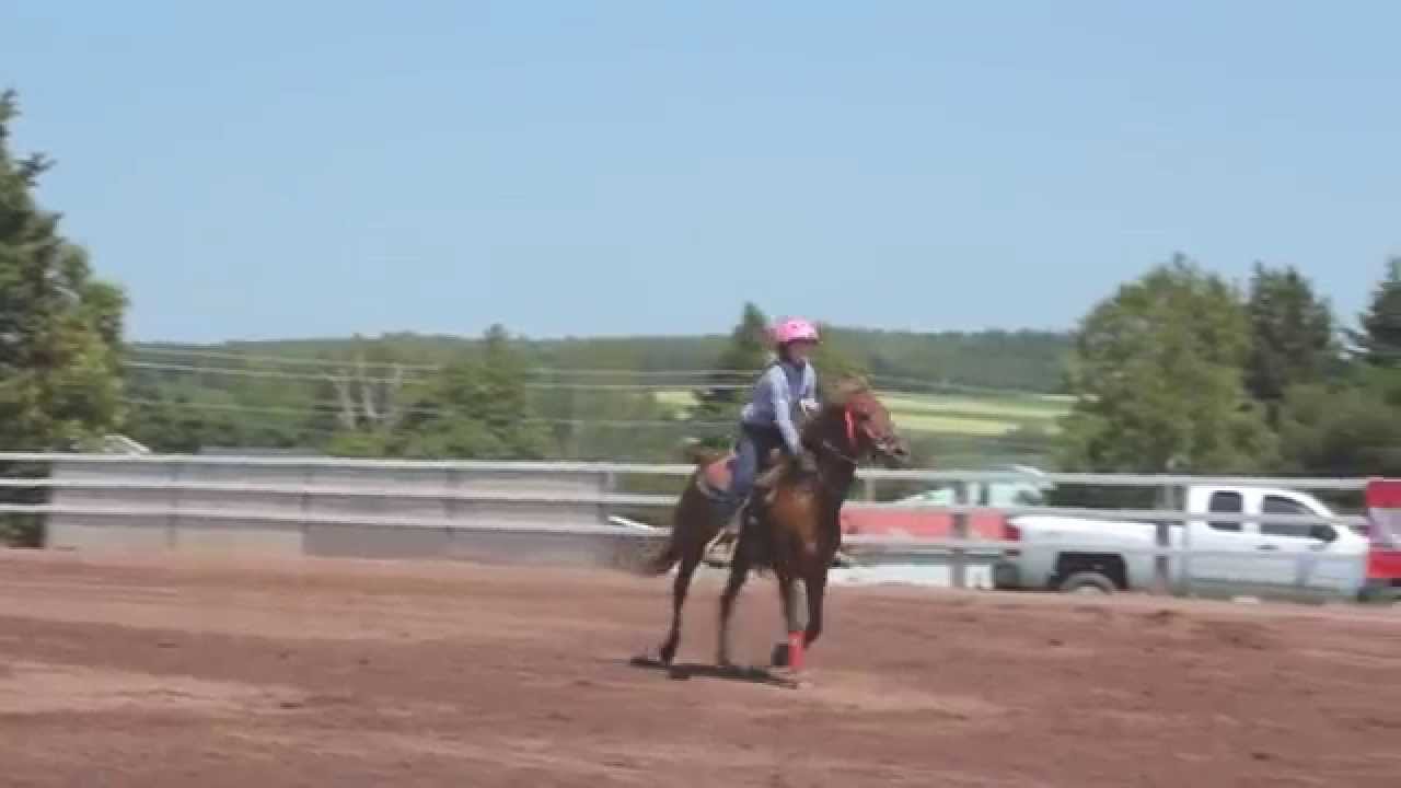 Crapaud, PEI Exhibition 2014 Pole Bending Trials YouTube