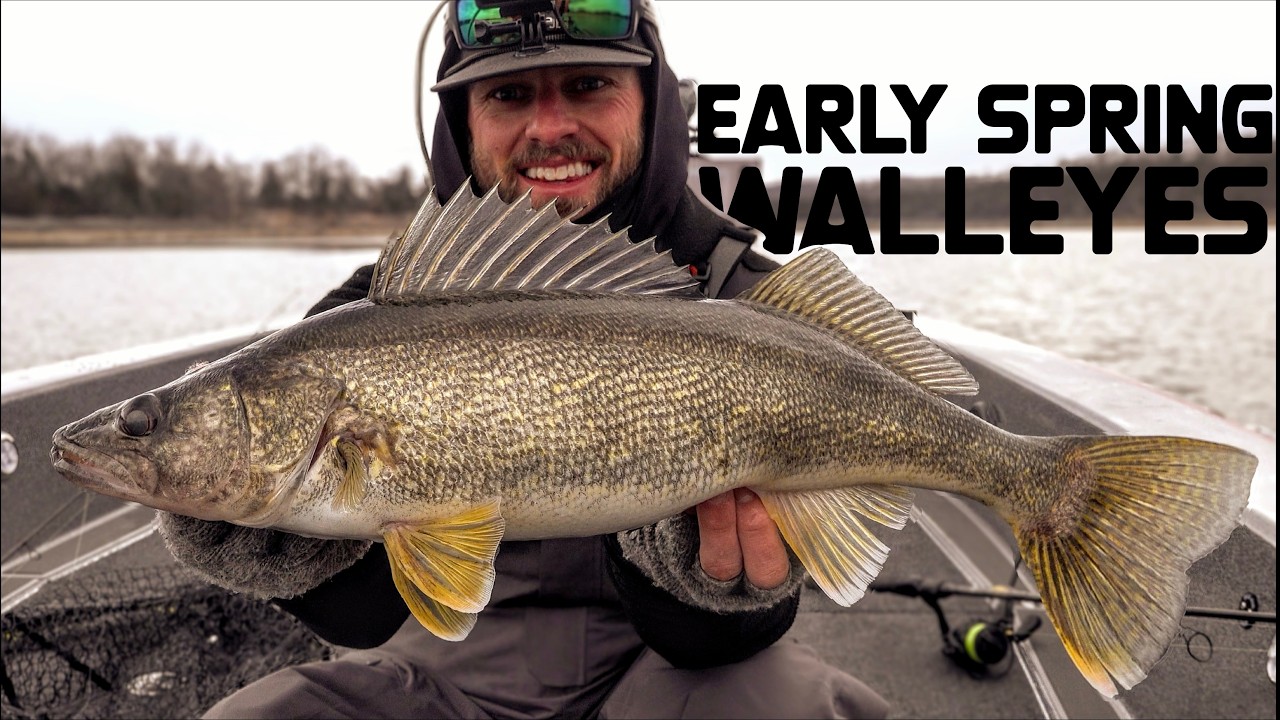 Spring Walleye Fishing is on FIRE + First Trip in NEW BOAT!