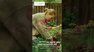 Buy Advanced Nutrients Overdrive Online in UK | Bayton Horticulture Centre