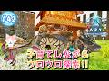 【ARK: Survival Ascended】ASA初見プレイ 子育てしながらウロウロ探索‼ No.42 PC版