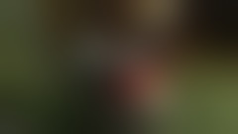 UT: TDM - Lords of Pain vs Thunder Crash - Part 1 of 2