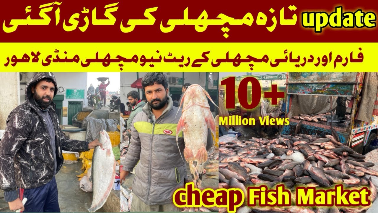 Lahore Machli Mandi | Taza rate list Machli Mandi |New Machli Mandi Lahore | New Fish Market Lahore