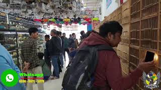 UPDATE HARGA BURUNG TERBARU 2025 - BURUNG TLEDEKAN DAN CENDET BAHAN SUPER MEWAH MURAH DISINI