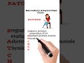 Causes of Secondary Amenorrhea   for female