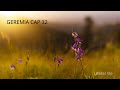 GEREMIA CAP 32 LETTURA BIBBIA AUDIOE E VIDEO GEREMIA ACQUISTA UN CAMPO