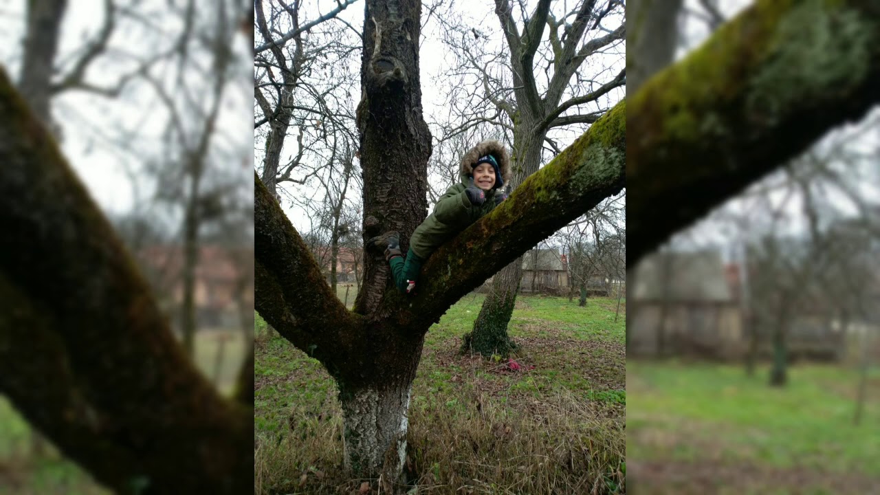 Curtea, Timis. Începuturi