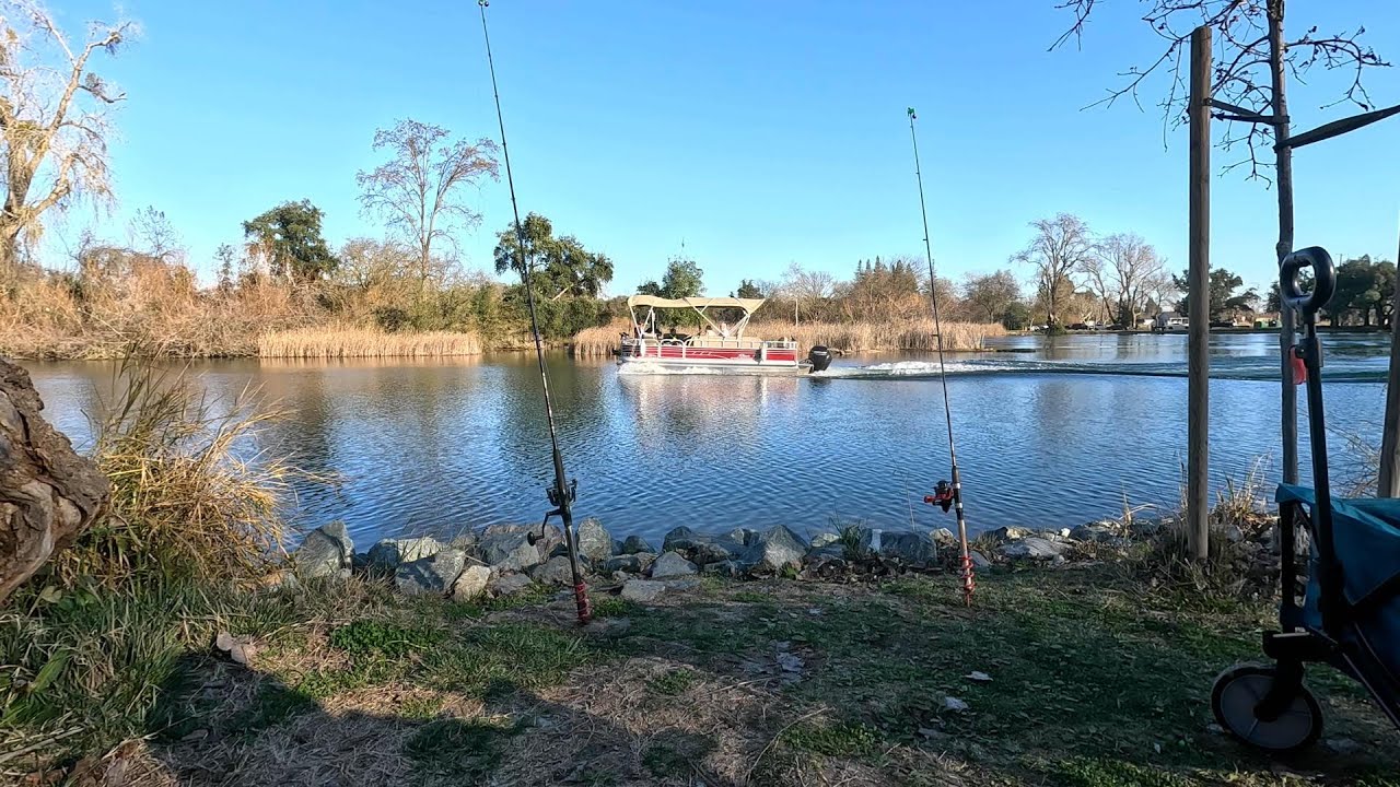 We just catch a RARE Fish?? It's STUNNING!!