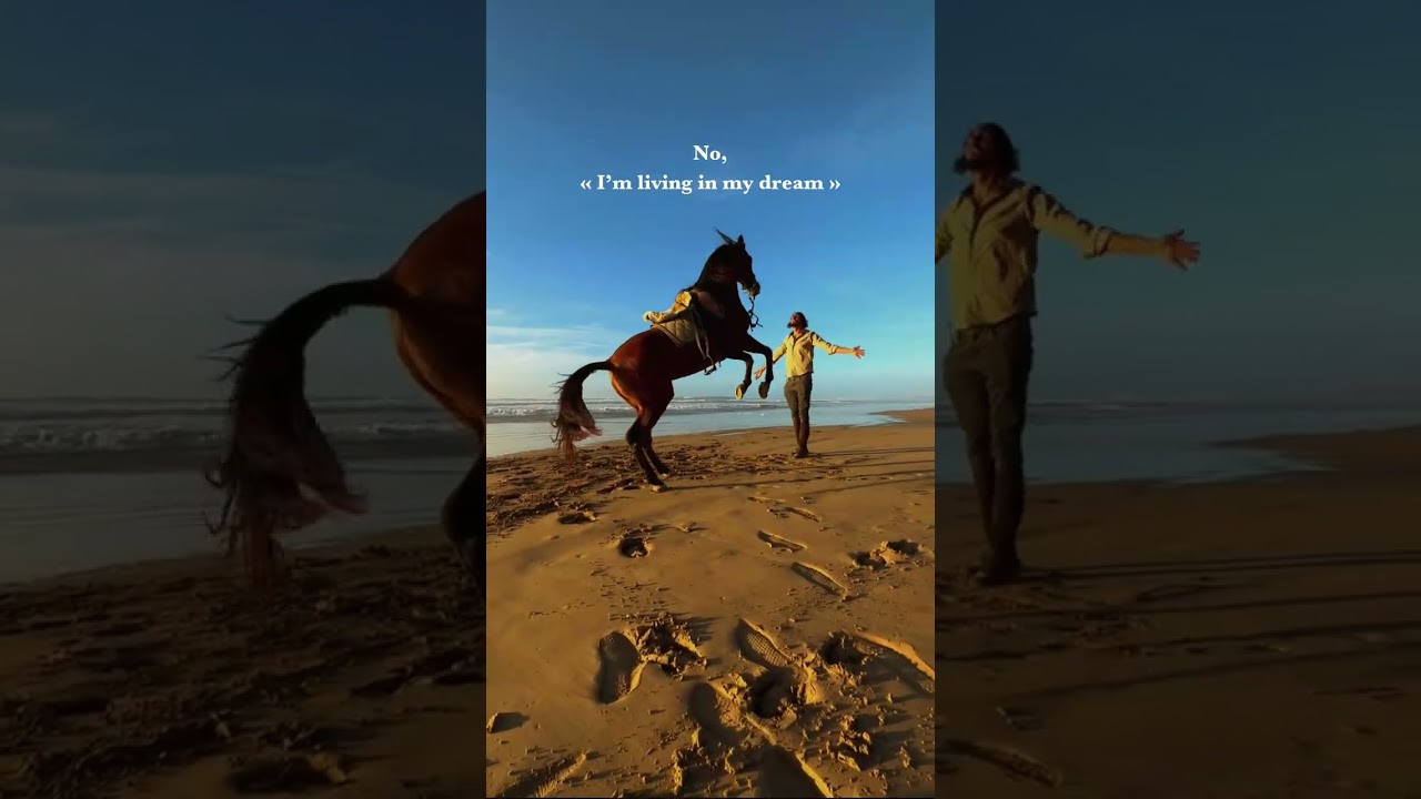 Am I dreaming or are we really galloping along the stunning shores of