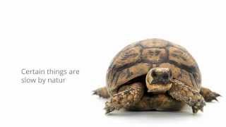 ARCHICAD 19 – Faster than Ever