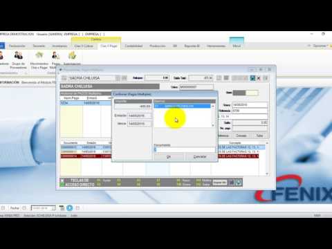 5 CUENTAS POR PAGAR - Pagos Multiples | FENIX  Sistema Contable