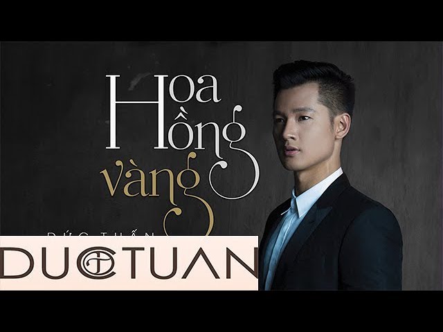 ĐỨC TUẤN - HOA HỒNG VÀNG