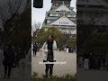 Calmness #osaka #osakacastle #japan #travel #traveling #wanderlust #peace #peaceful #calm #calmmusic