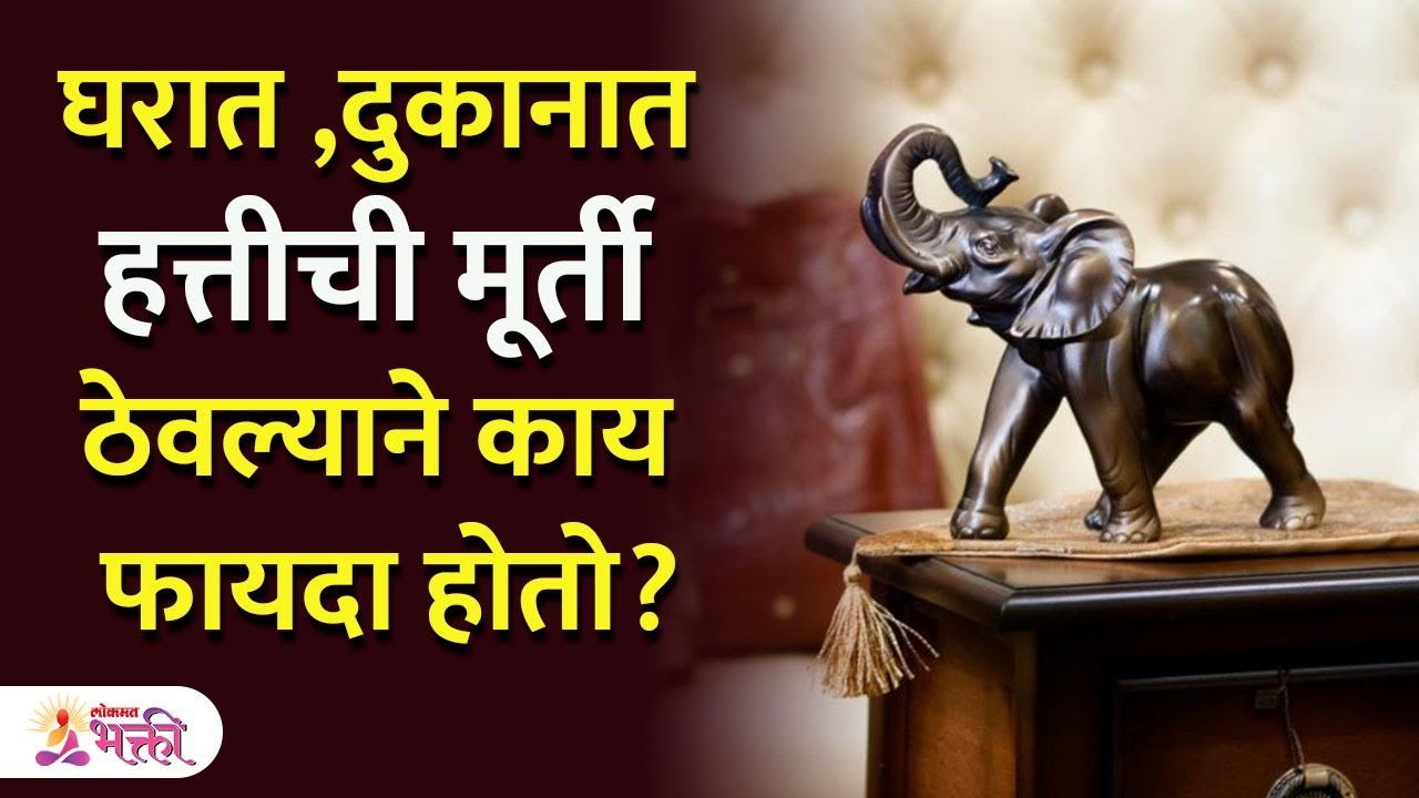 Can We Keep Live Turtle At Home As Per Vastu