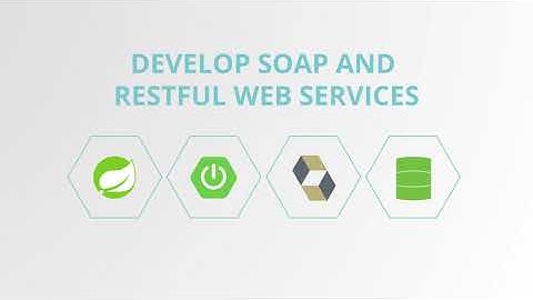 Master Java Web Services and RESTful API with Spring Boot Course guide