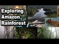 Exploring Amazon Rainforest - Amazon wildlife - Amazon River Ride