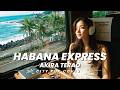 HABANA EXPRESS|寺尾聰【Female Vocal / Techno Cover】AIアレンジ版(1981・名盤『Reflections』オープニング曲)