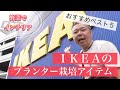 【IKEAで購入】プランター栽培アイテム2020年「おすすめベスト５」　〜“野菜でインテリア”シリーズ〜