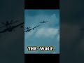          19 2024 الإعلان الرسمي لفيلم مطرح مطروح