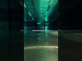 I love underwaters #swimming #swimming #hopecore #underwater #motivation