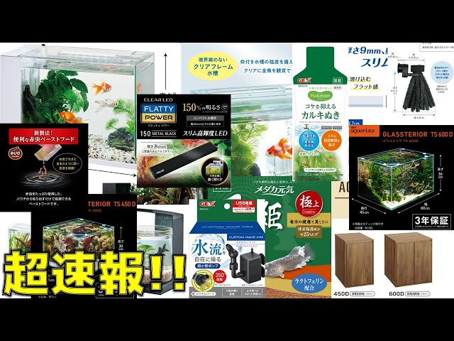 速報】GEXが奥行の広い水槽や新商品を発売しただとぉぉぉぉぉぉ