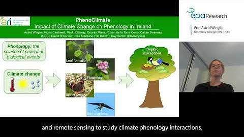 Which of the following statements about the effects of climate change on phenology is true