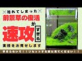 速攻で効く！「枯れた前景草復活の復活方法」水草水槽、水草レイアウト、ADA、アクアリウム、小型水槽、初心者、育て方、作り方、立ち上げ方、ネイチャーアクアリウム、ニューラージパールグラス、草原レイアウト