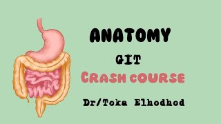  Crash Course of Oral cavity and Palate.GIT Anatomy