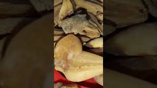 Greetings From Misri